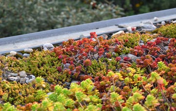 the cost of Longworth green roof installation