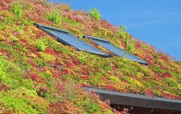 Longworth living roof systems