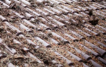 Longworth roof cleaning companies