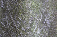 Longworth fibreglass roof work